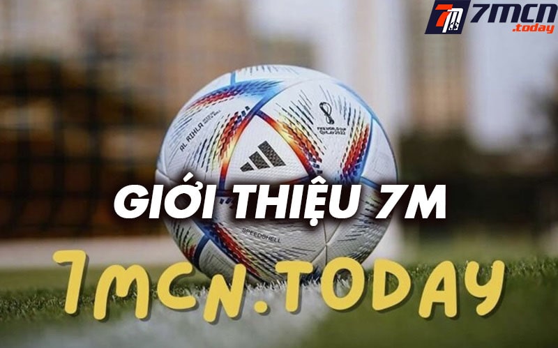 Giới thiệu dokodemodoor-junk.net