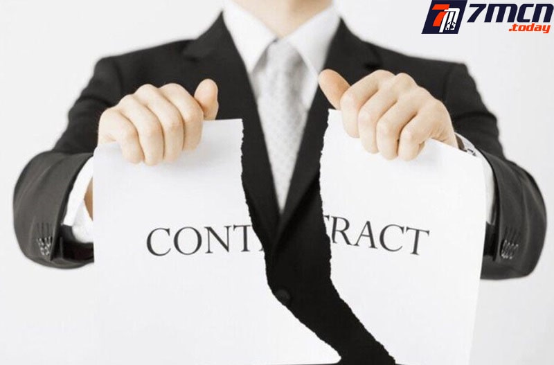 Nội dung miễn trừ trách nhiệm 7M với thành viên